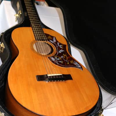 Rare Apollo Parlor No. 006 Acoustic Guitar With Hard Shell Case image 14
