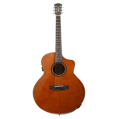 Willow Creek FX-PG73 Ebony Deluxe Acoustic Grand Auditorium Guitar w/ Effects image 5