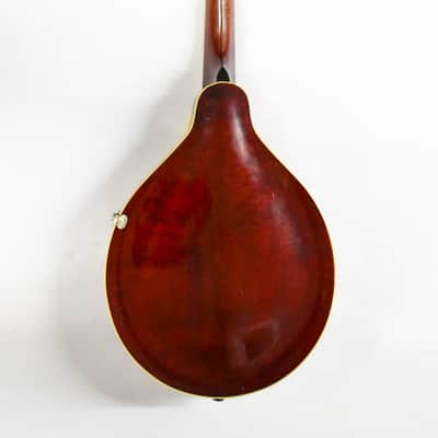 Gibson A-3 Mandolin 1919 - Ivory image 12