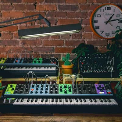 Moog Matriarch Patchable 4-note Paraphonic Analogue Synthesiser image 19