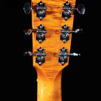 Eastman E16SS-TC-LTD, Thermo-Cured Bearclaw Adirondack, Birdseye Maple, Limited image 12