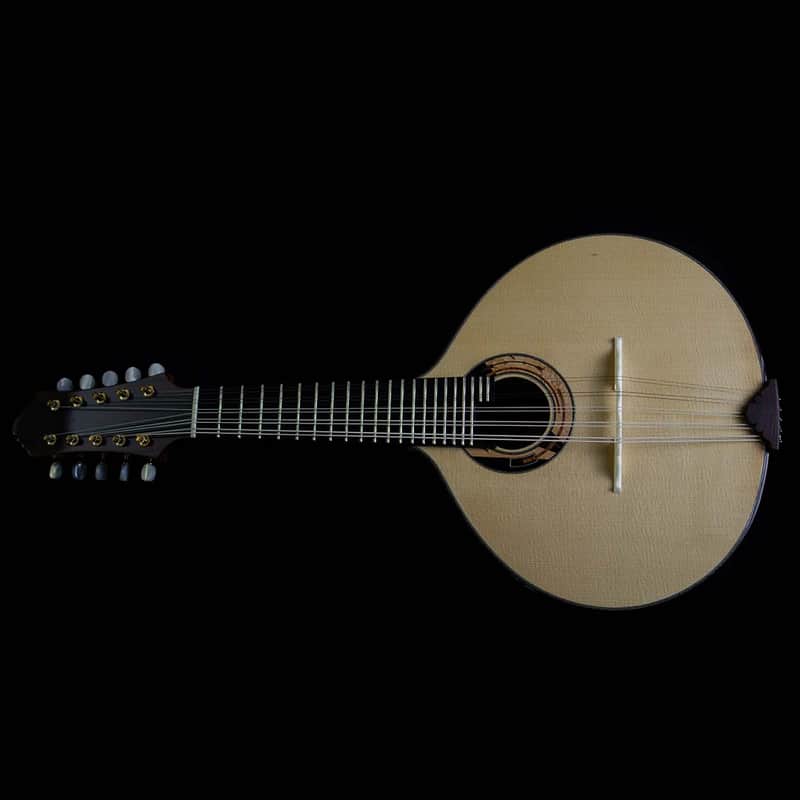 Antonio Huggler 10-String Mandolin | Brazil image 1