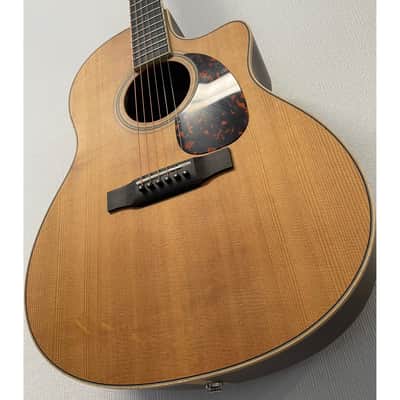 L'Arrivee LV03RE Grand Auditorium Electro Acoustic Guitar with Hardcase Pre-Owned image 9