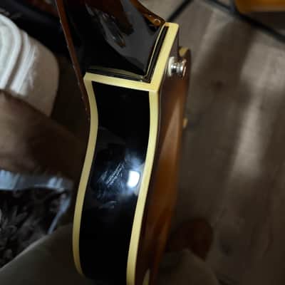 Epiphone Viola bass 2015-2020 image 8