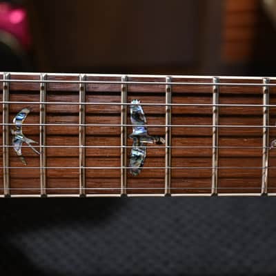 PRS Wood Library McCarty 594 Semi-Hollow Danville Music 35th Anniversary Artist Top 2024 - Gold Storm Fade #2871 image 6