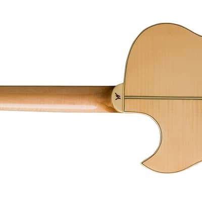 Washburn EA20 Festival Series Florentine Cutaway Flame Maple Top 6-String Acoustic-Electric Guitar image 5
