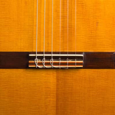 Del Pilar Classical Guitar (1990), hard shell case. image 13