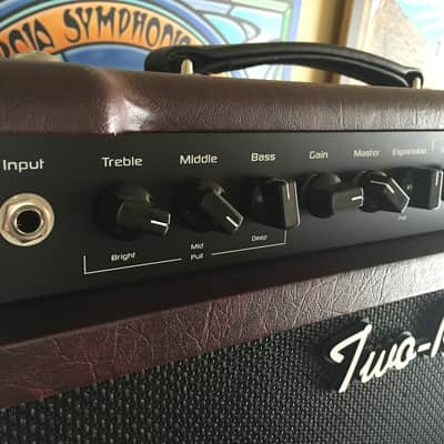 Two Rock Studio Pro Plus 22 - Maroon image 4