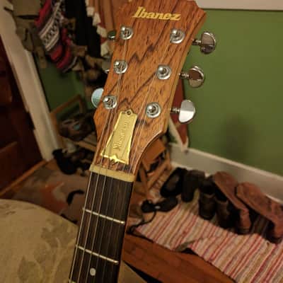 Ibanez MC200 with Jerry Garcia "Wolf" mods 1978 image 5