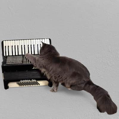 Paolo Soprani Accordion 1940s-50s  - Accordion plastic image 15