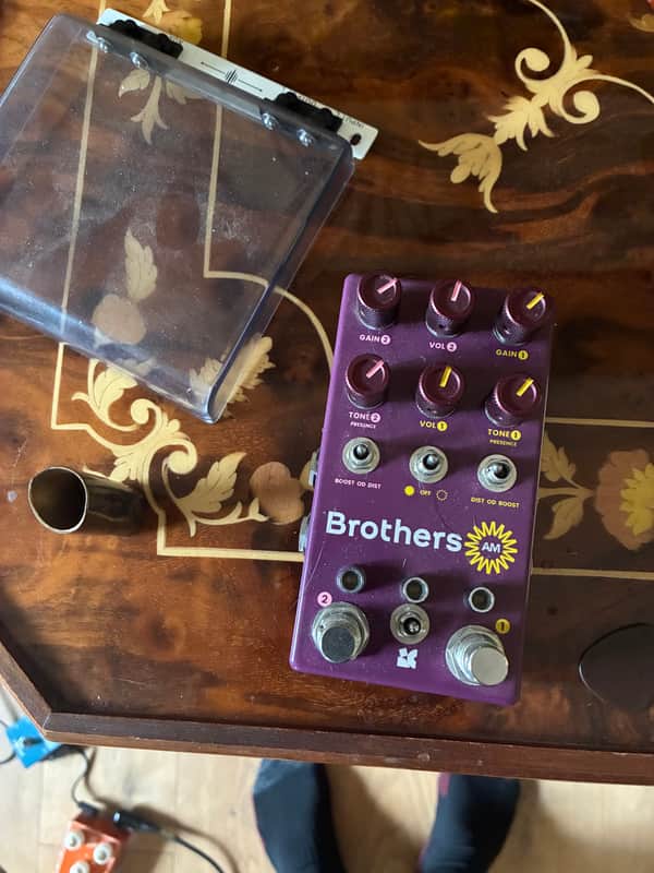 Chase Bliss Audio Brothers AM 2025 - Present - Various