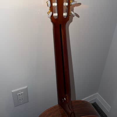 Classical Concert Guitar Manuel Rodríguez e Hijos “D Rio” – Brazilian Rosewood – Canadian Red Cedar Top – Stunning Grain – Hiscox Case image 13