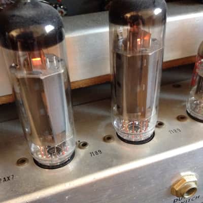Danelectro DM-25 '66 25W 1x12" Reverb & Vibrato NEAR MINT image 13