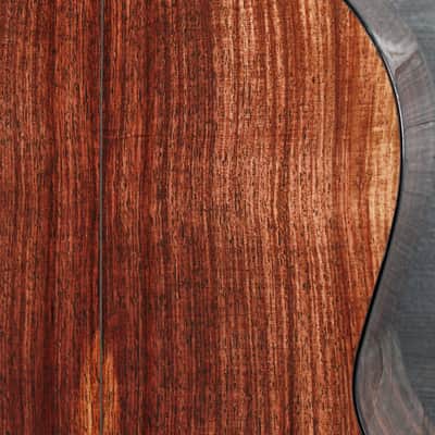 Santa Cruz 00 12-Fret - Sunburst Rosewood / Adirondack Acoustic-Electric Guitar image 17