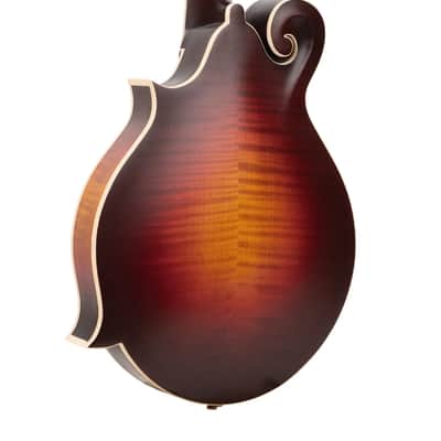 Gold Tone GM-80: F-Style Mandolin with Case image 10