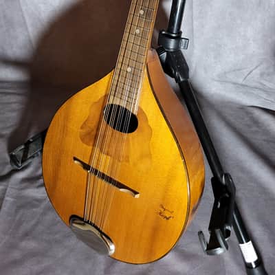 HOPF zither for sale in Germany | guitar-list