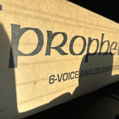 Sequential Prophet-6 49-Key 6-Voice Polyphonic Synthesizer 2018 - 2020 - Black with Wood Sides