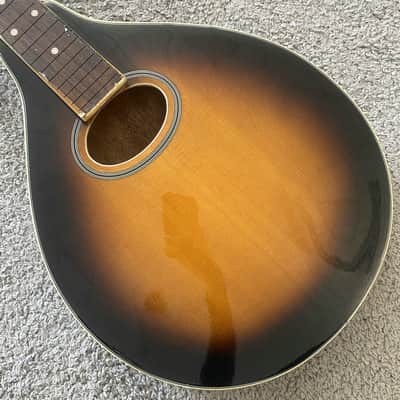 Sunburst 8 String Mandolin Project, Spruce Top, Mahogany Body, Rosewood Fingerboard image 4