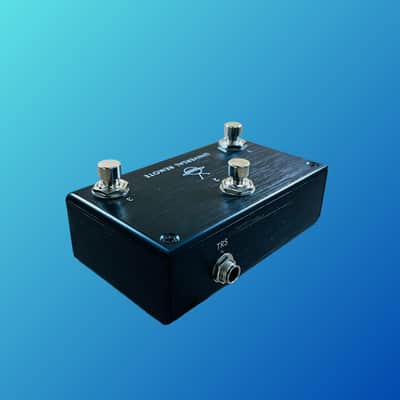 Pigtronix Universal Remote Switch image 3