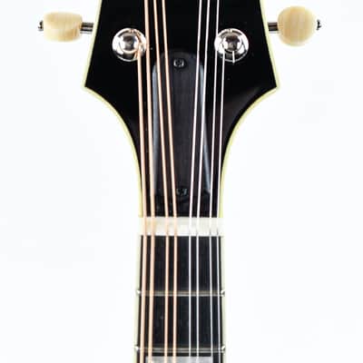 Eastman MD605 Goldburst image 2