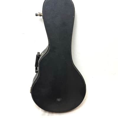 Gibson Master Model F-9 Mandolin  2003 image 22
