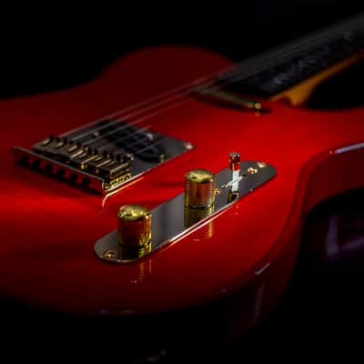 Electric guitar MihaDo GS T-Style image 18