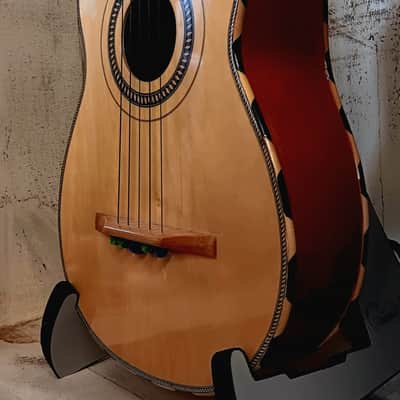Lucida Vihuela image 2