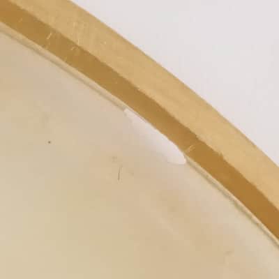 Crown 16" Calf Skin Slunk Thin Resonant Marching Snare Drum Head Vintage 50s USA image 8