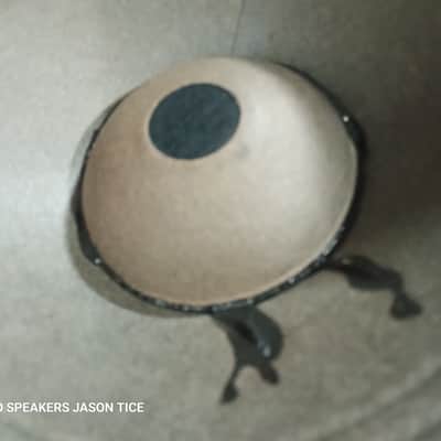 12" ALNICO SPEAKER AMPEG 1968/70 SURVIVOR 1968 image 4