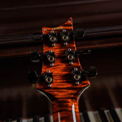 PRS Custom 24 Semi-Hollow Wood Library 10-Top image 14