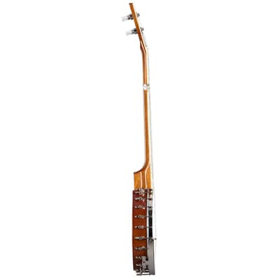 Epiphone Mastertone Bowtie Open Back 5-String Banjo With Gigbag image 9