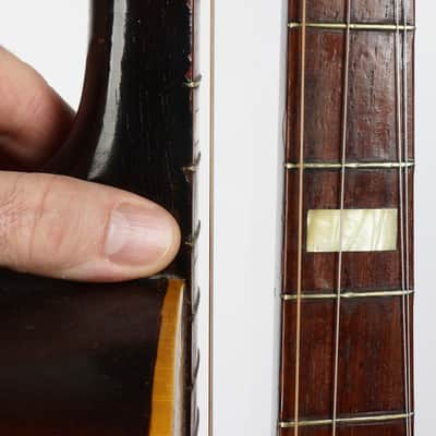Brach Tamburitza Guitar-Bodied 5-string, Rosewood and Spruce, Great Sound! image 2