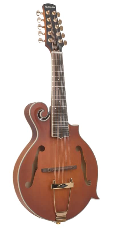 Gold Tone F-10 10-String F-Style Mandolin with Pickup and Case image 1