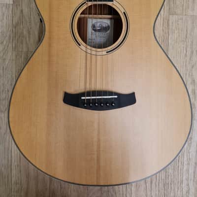 Tanglewood Discovery Exotic DBT SFCE PW image 3