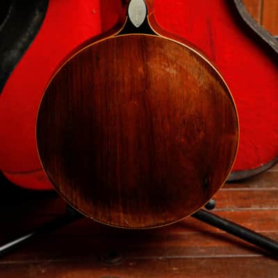 Windsor Ariste Model 4 Zither Banjo Circa 1910s Made in UK Pre-Owned image 11