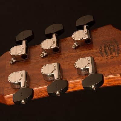 Mint Washburn Woodline Model WLO100SWEK Acoustic Electric Solid Wood Guitar with Case image 4