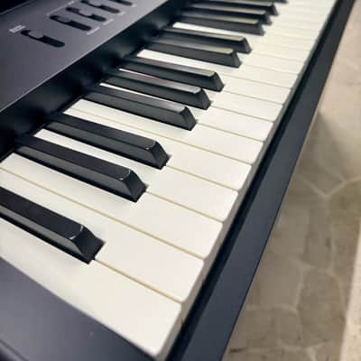 Roland FPE50 (SUPPORTO ESCLUSO) image 2
