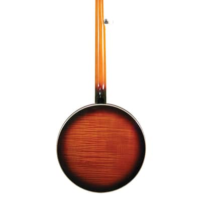 Gold Tone OB-250 Orange Blossom Banjo w/ Case image 4