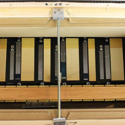 NEW Antique Pine Beltuna Alpstar IV D Luxe Diatonic Accordion MMM Key of FBbEbAb 48 16 image 9