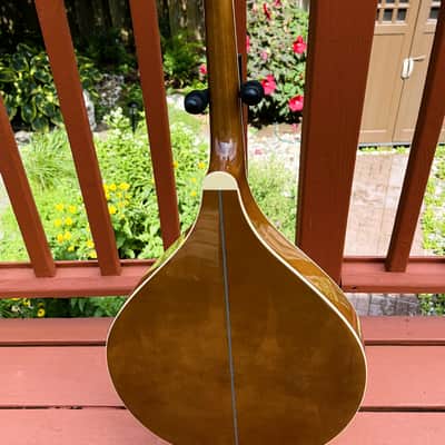 Immagine Trinity College TM-325 Octave Mandolin w/ Hard Case - 3