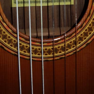 Luis Romero Spanish Classical Guitar 2018 High Gloss image 4