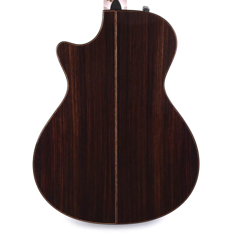 Taylor 912ce with V-Class Bracing image 4
