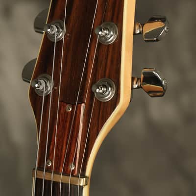 1979 Washburn Eagle Natural image 8