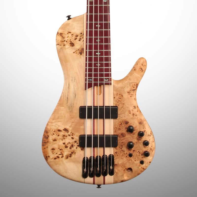 Ibanez SRSC805 Bass Workshop Singlecut Soundgear image 2