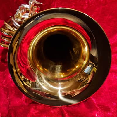 Mini Reisetuba / Travel Tuba "Bubbie 1" von Wessex (Es oder F - Stimmung) image 6