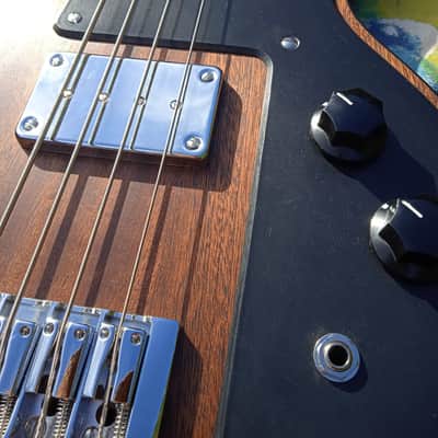 Traildagger Bass Guitar By J Douglas. 32.5" Scale. 2 Of 2. 2021. image 6