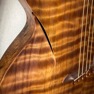 Glenn Maxwell Infinitum Headless Fan Fret image 6