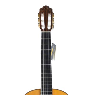 Guitarras Esteve Classical 12 - 630mm - Solid Wood - Cedar Top, Granadillo B&S - Handmade in Spain image 10