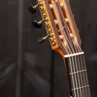 Chris Carrington Classical Guitar SN 384 2023 - Gloss top and sides, satin back image 21