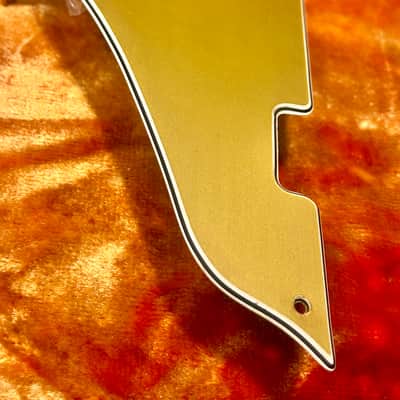 Fender Coronado 1966 - Pickguard image 5